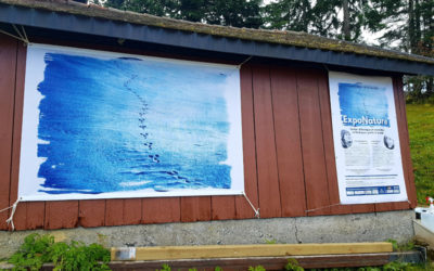 ExpoNature, chemin didactique et cyanotype