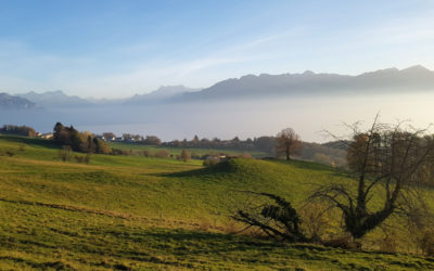Le tour du Mont-Pèlerin
