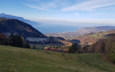 Le Molard