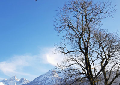 Culture - Festival International de Ballons de Château-d'Œx