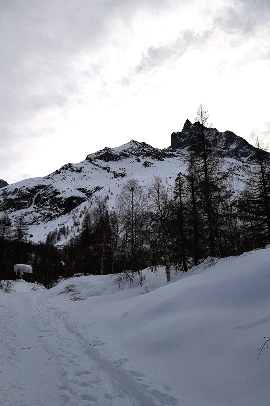 Randonnée - Glacier de Zinal