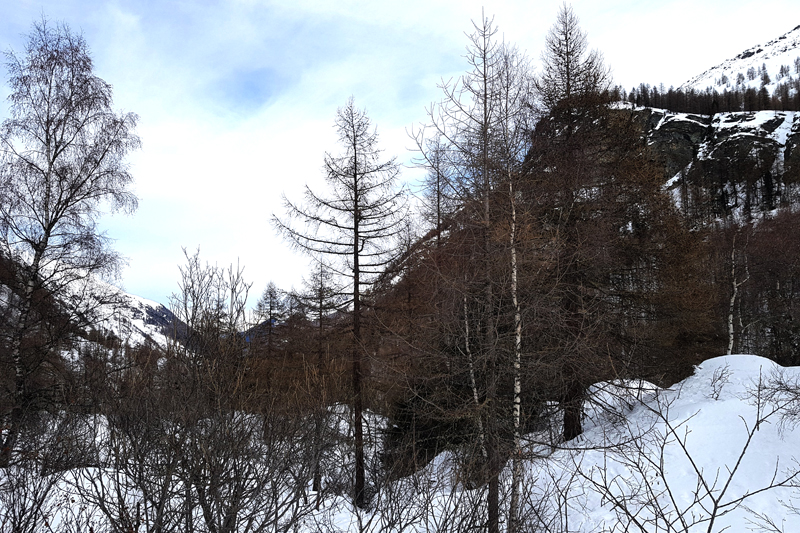 Randonnée - Glacier de Zinal