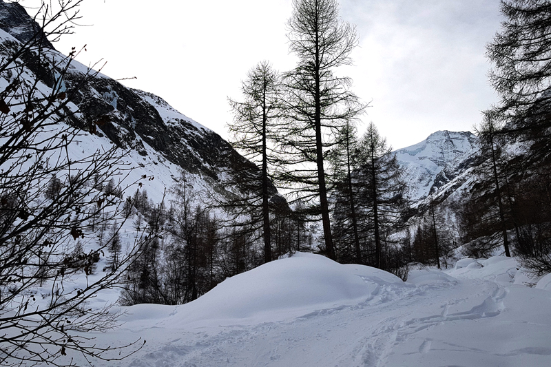 Randonnée - Glacier de Zinal