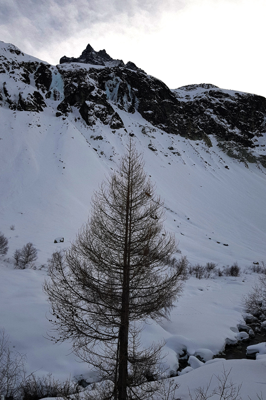 Randonnée - Glacier de Zinal
