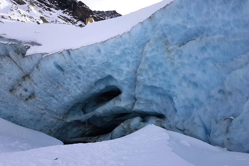 Randonnée - Glacier de Zinal