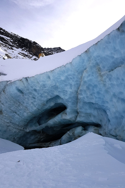 Randonnée - Glacier de Zinal