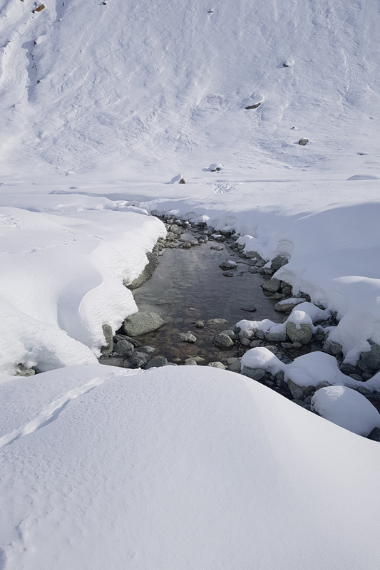 Randonnée - Glacier de Zinal