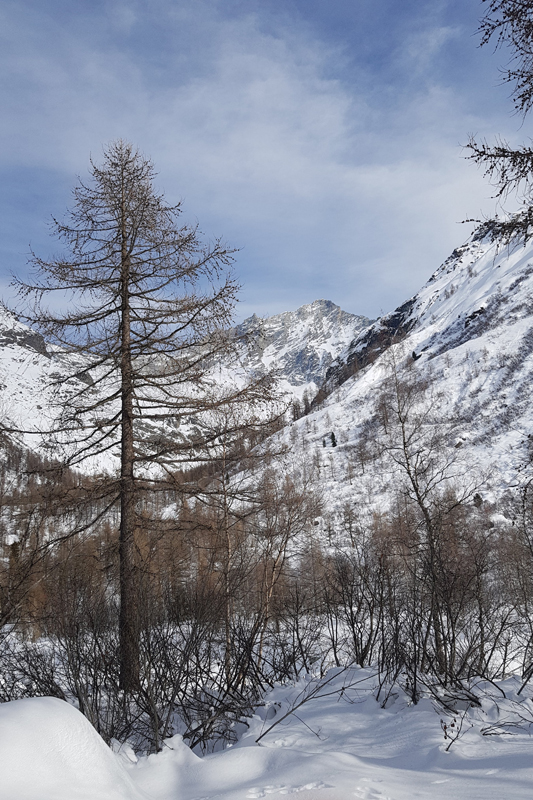 Randonnée - Glacier de Zinal