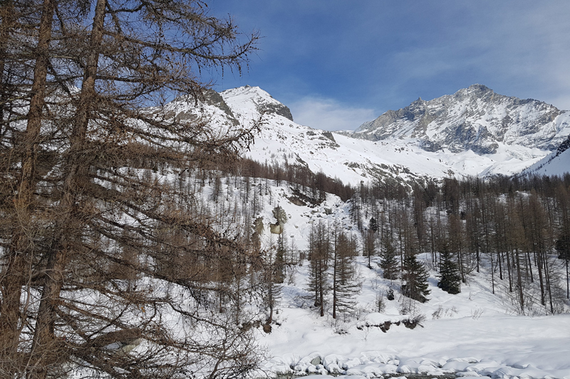 Randonnée - Glacier de Zinal