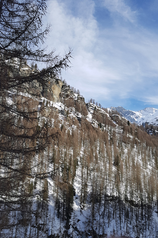 Randonnée - Glacier de Zinal