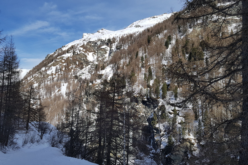 Randonnée - Glacier de Zinal