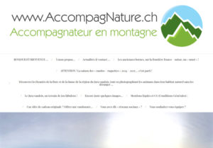 Partenaires - www.michelbrelaz.ch