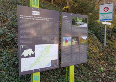 Randonnée - Saut du Doubs – Lac des Brenets – Tour Jürgensen - Sentier didactique