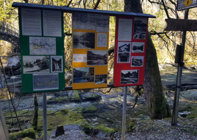 Randonnée - Saut du Doubs – Lac des Brenets – Tour Jürgensen - Sentier didactique