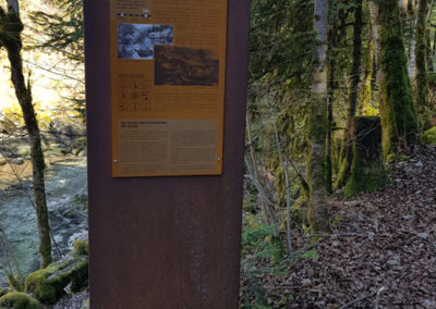Randonnée - Saut du Doubs – Lac des Brenets – Tour Jürgensen - Sentier didactique