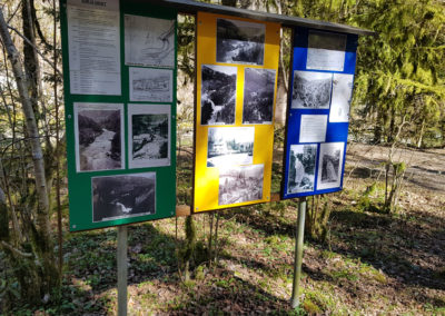 Randonnée - Saut du Doubs – Lac des Brenets – Tour Jürgensen - Sentier didactique