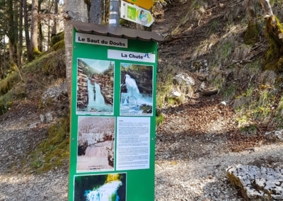 Randonnée - Saut du Doubs – Lac des Brenets – Tour Jürgensen - Sentier didactique