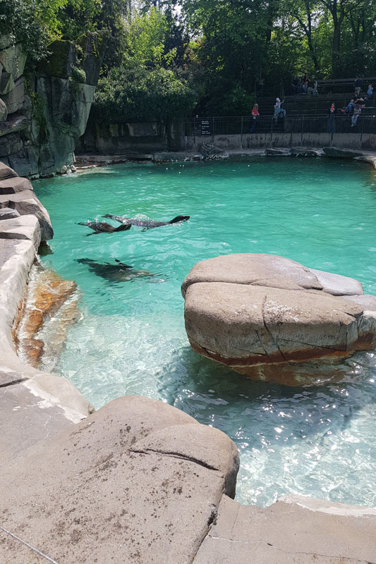 Visite - Zoo de Bâle