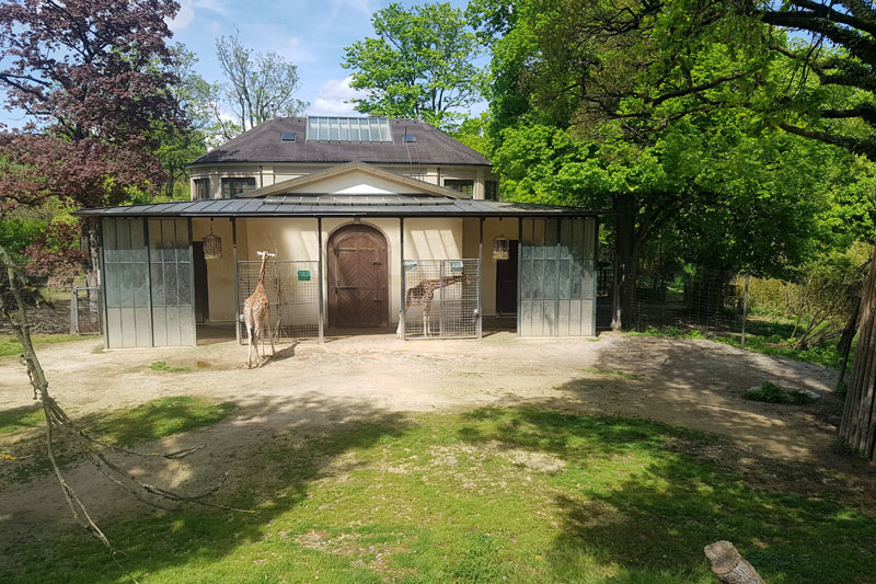 Visite - Zoo de Bâle