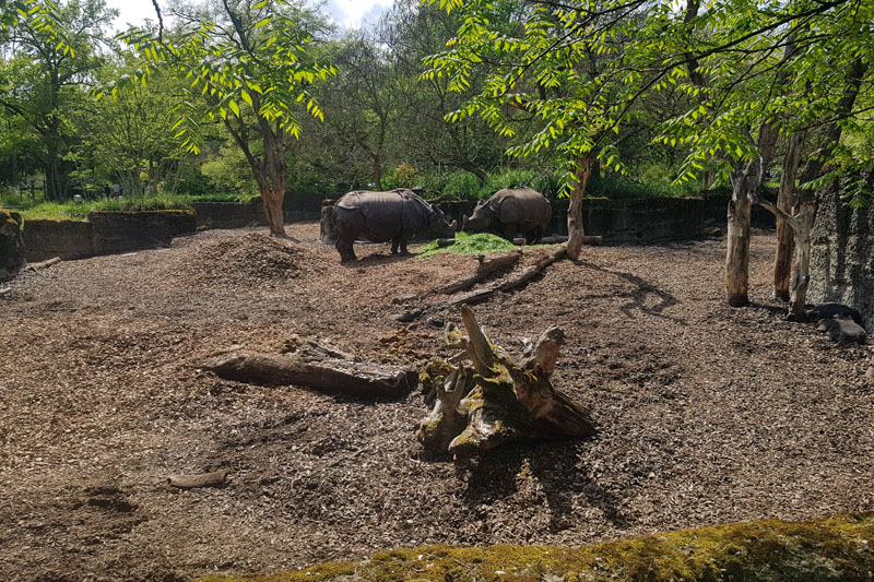 Visite - Zoo de Bâle
