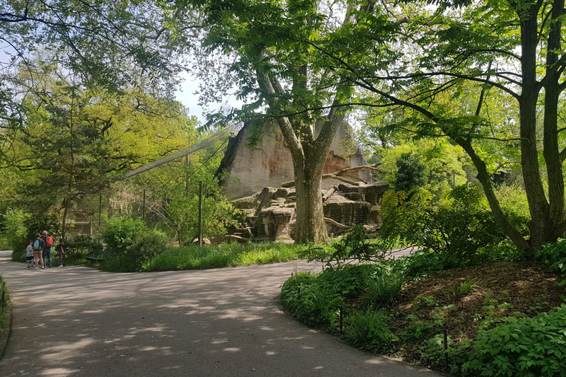 Visite - Zoo de Bâle
