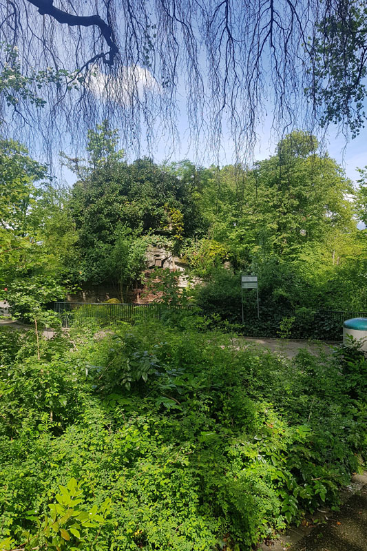 Visite - Zoo de Bâle