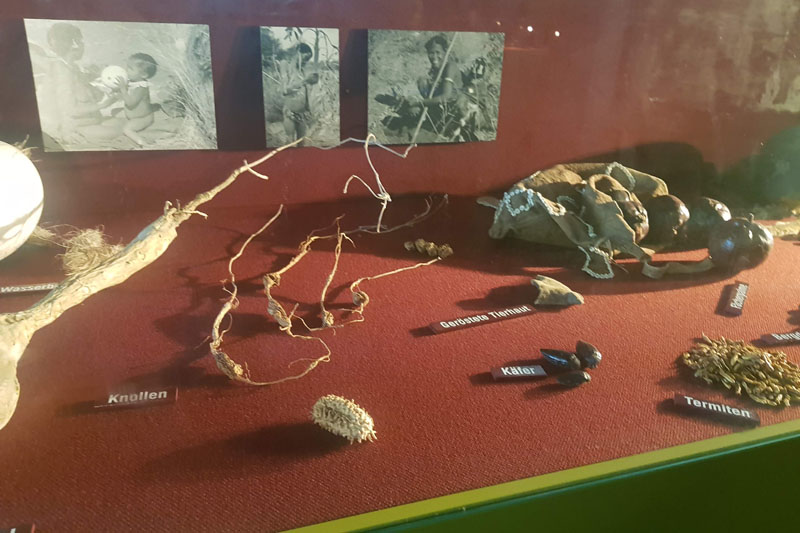 Visite - Zoo de Bâle