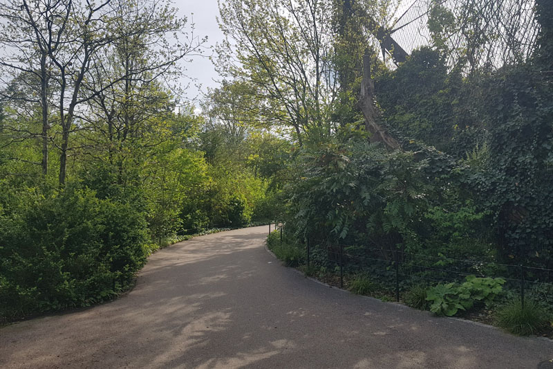 Visite - Zoo de Bâle