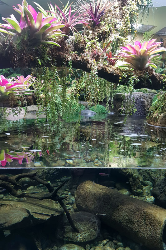 Visite - Zoo de Bâle
