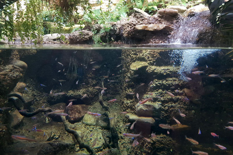 Visite - Zoo de Bâle