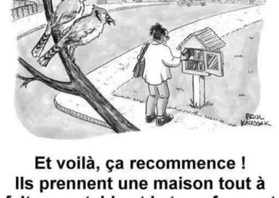 Humour