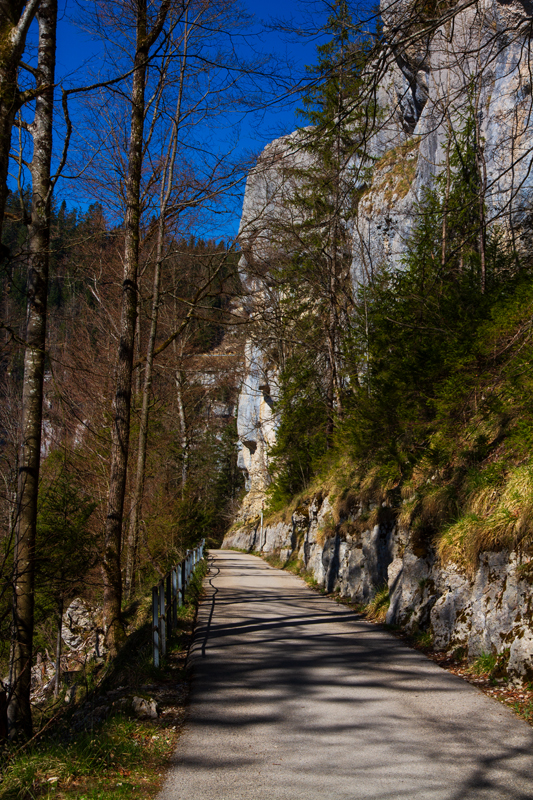 Randonnée - Saut du Doubs – Lac des Brenets – Tour Jürgensen
