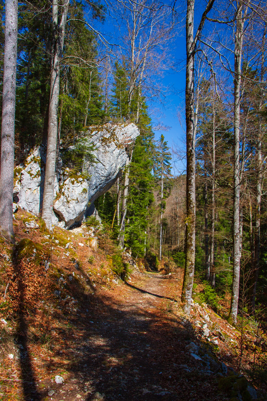 Randonnée - Saut du Doubs – Lac des Brenets – Tour Jürgensen
