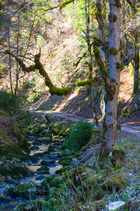 Randonnée - Saut du Doubs – Lac des Brenets – Tour Jürgensen