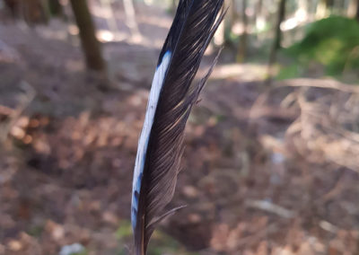 Plumes en vrac
