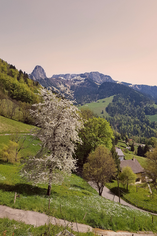 Randonnée - Neige de mai 2025