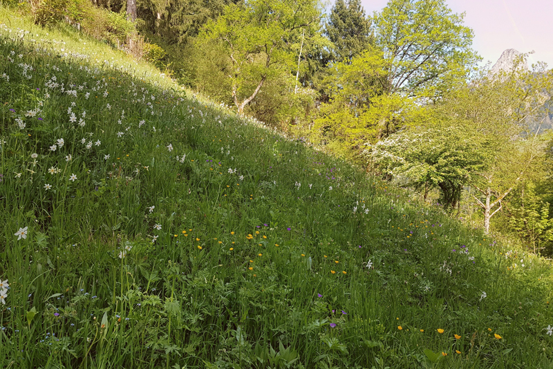 Randonnée - Neige de mai 2025