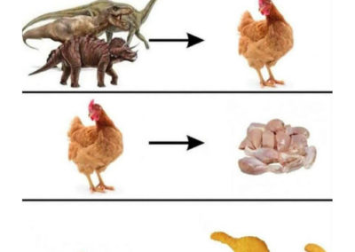 Humour