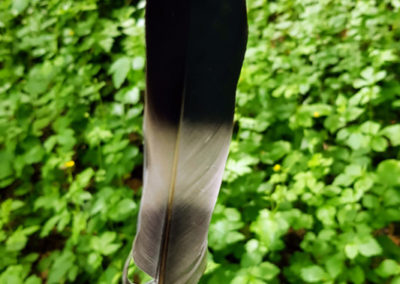Plumes en vrac