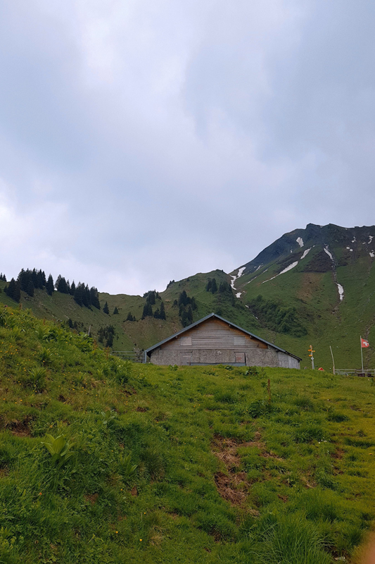 Randonnée - La Tovassière