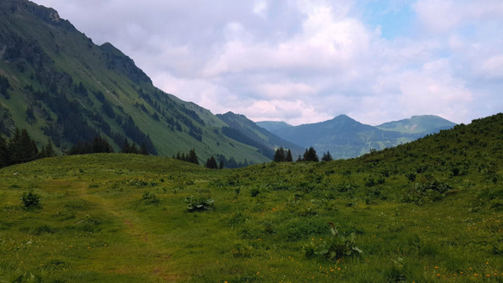 Morgins – La Tovassière