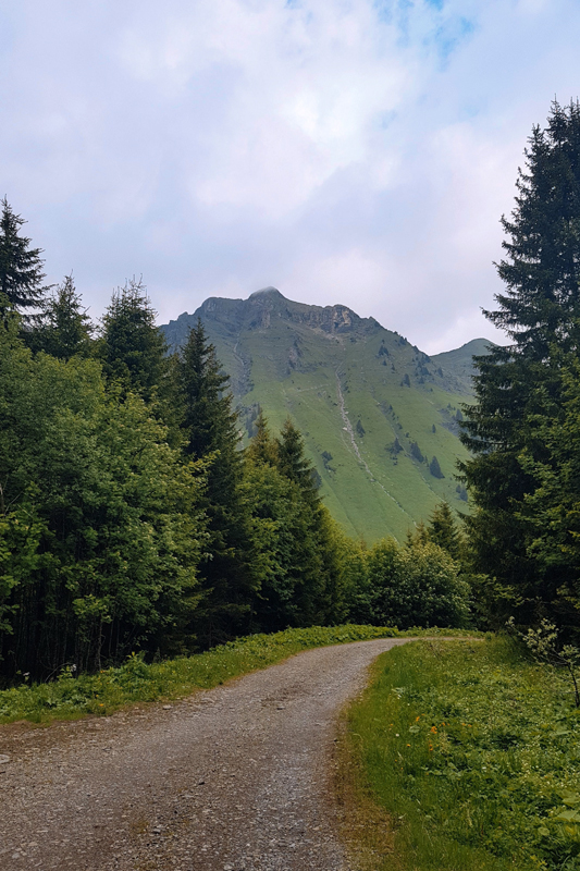 Randonnée - La Tovassière