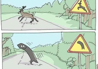 Humour