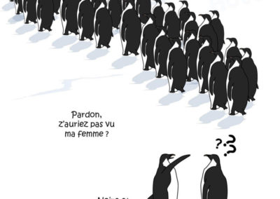 Humour