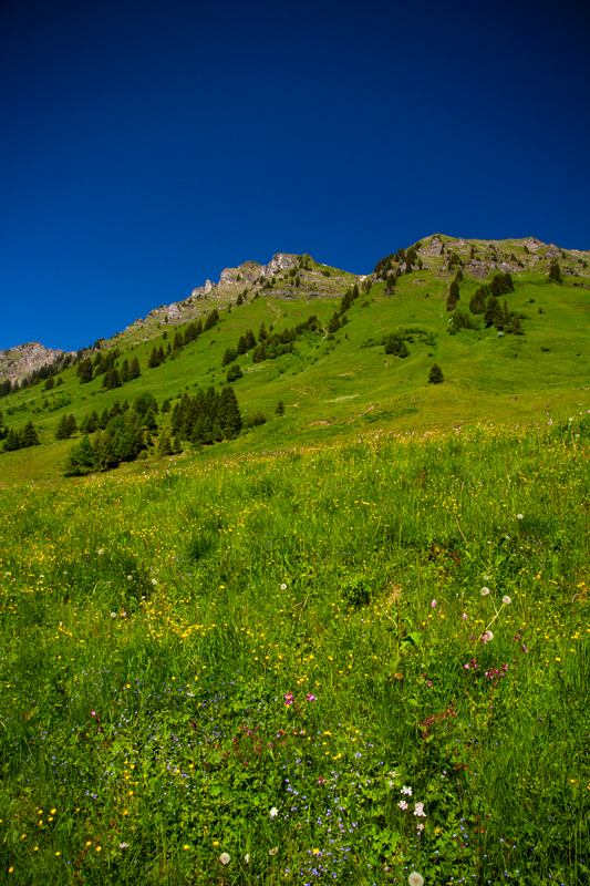 Randonnée - Lac de Chésery, Lac Vert, La Tovassière