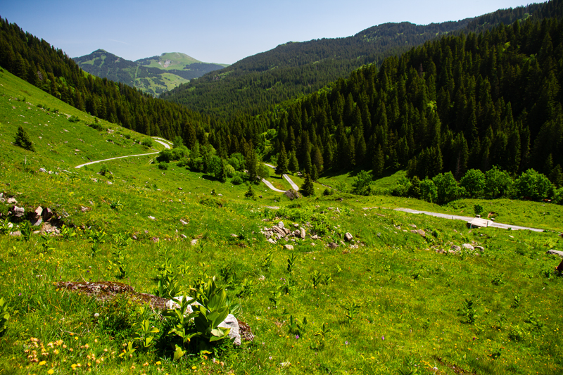 Randonnée - Lac de Chésery, Lac Vert, La Tovassière
