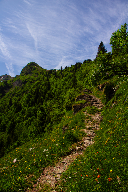 Randonnée - Lac de Chésery, Lac Vert, La Tovassière