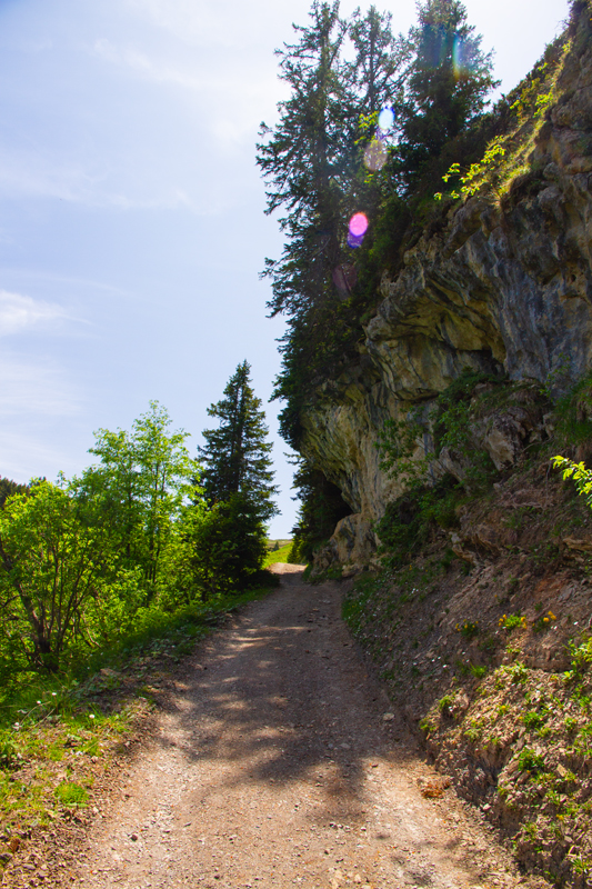 Randonnée - Lac de Chésery, Lac Vert, La Tovassière