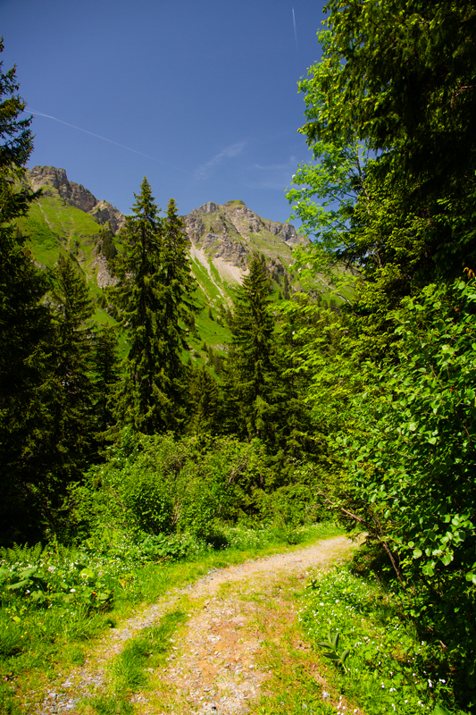 Randonnée - Lac de Chésery, Lac Vert, La Tovassière