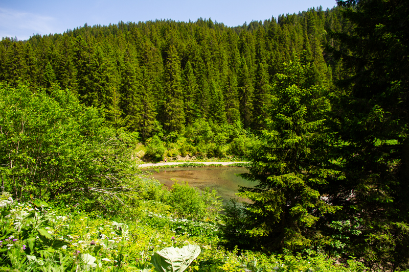 Randonnée - Lac de Chésery, Lac Vert, La Tovassière